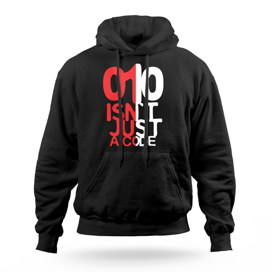 010 ISNT JUST A CODE (Fey) hoodie