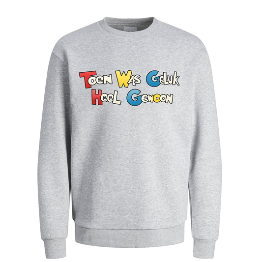 Toen Was Geluk Heel Gewoon hoodie